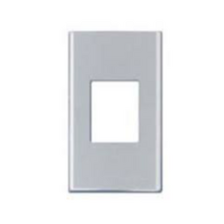 Faceplate for 3-pin single socket/MCB 2P Panasonic WEG65029-1
