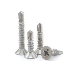 Vít inox đầu dù đuôi cá 20mm