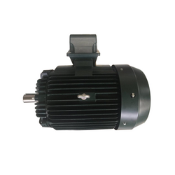 Mô tơ điện 3 pha 4 cực 200Kw Toshiba 4D3150K8ZVA1