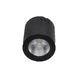 Đèn lon nổi 12W Euroto LN72 vỏ màu đen (ánh sáng trung tính)