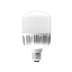 Đèn Led Buld 40W Điện Quang ĐQ LEDBU10 40765AW (Daylight)