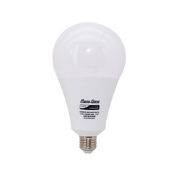 LED bulb RANG DONG A95N1/20W E27 LED SS white light