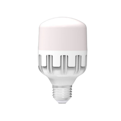 Led bulb 30W Dien Quang DQ LEDBU10 30727AW (Warmwhite)