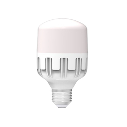 Led bulb 20W Dien Quang DQ LEDBU10 20765AW (Daylight)