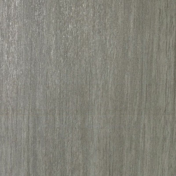 Gạch Vân Gỗ, Mờ, CASALGRANDE, ARGENTO 30*60