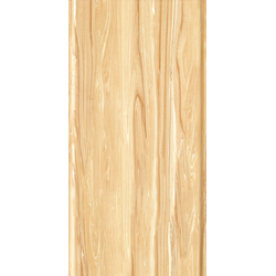 Gạch vân đá Bóng CM89-2 30x60