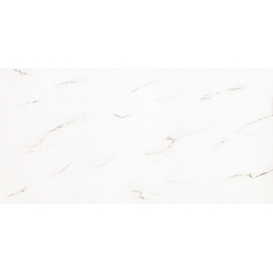 Gạch vân đá Bóng CM91 30x60