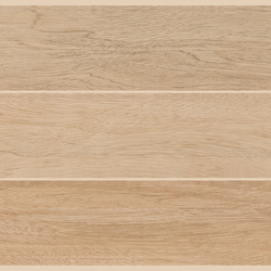 Gạch vân đá Nhám CR3960N 30x30