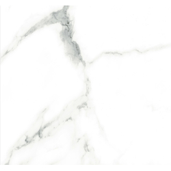 Gạch vân đá Nhám LVF6007 60X60