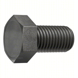 Standard Hex Head Cap Screws Metric M12x1.75x20mm Not Graded Stainless Steel Plain Fully Threaded