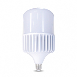 Bóng đèn Led Bulb Rạng Đông TR135/80W E27 6500K SS