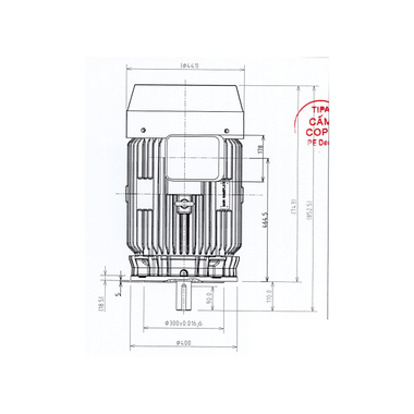 Mô tơ điện 3 pha 2 cực 37kW Toshiba 0372FTMH7JS