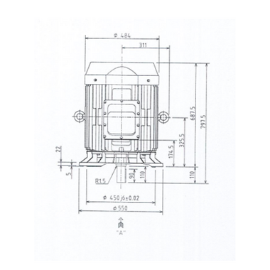 Mô tơ điện 3 pha 2 cực 55kW Toshiba 0552ODMH7JS