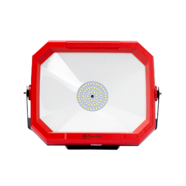 Rang Dong CP08 50W white light LED floodlight