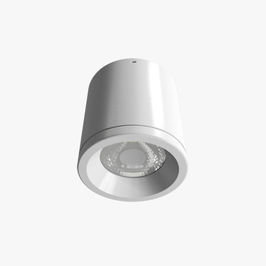 Đèn Led Downlight nổi trần Rạng Đông NT01 110/10W ánh sáng vàng