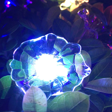 Dây đèn LED trang trí dài 5m, 20 bóng hình hoa trắng có đổi màu dùng pin