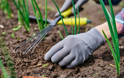 Găng tay vải bảo hộ: Phân loại, ưu nhược điểm và cách chọn mua
