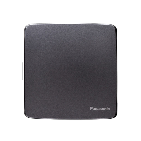 Single-panel Panasonic WMT6891MYH-VN metallic gray