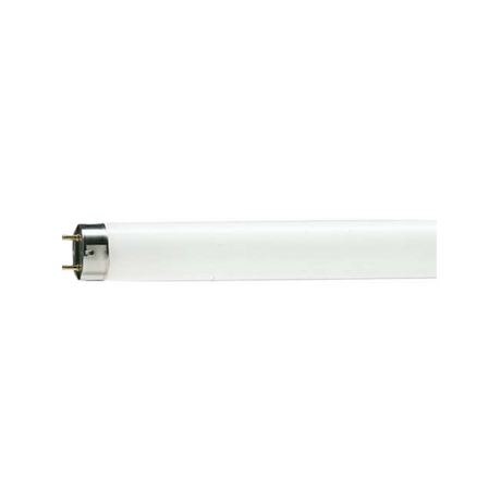 Fluorescent lamp 1.2m Dien Quang MaxX 802 FL T8 32W Daylight Triphosphor