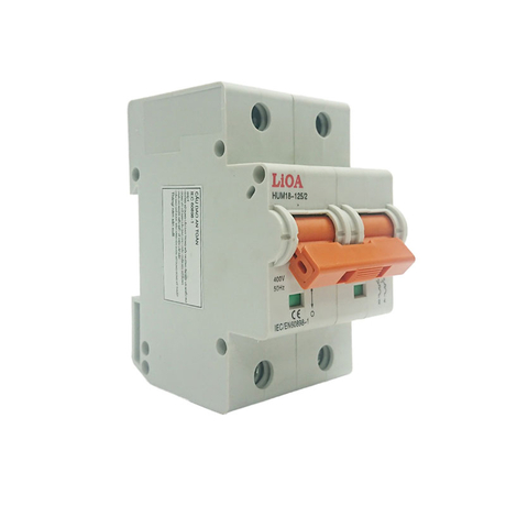 Aptomat loại 2 cực dòng điện 10A LiOA MCB2010/4,5