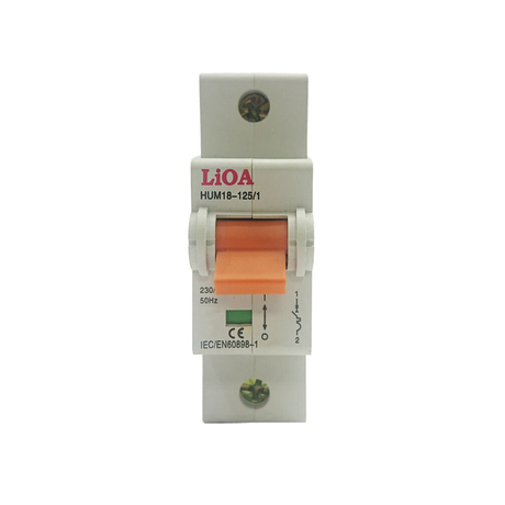 Aptomat loại 1 cực dòng điện 100A LiOA MCB1100/6