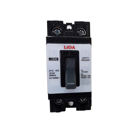 2P surface mounted circuit breaker 25A LiOA MCCB2P1E/25A