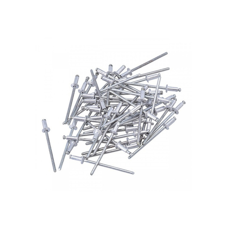 Bọc 50 đinh rive 3.2x10mm 50 pcs Tolsen 43008