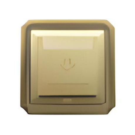 ABE BRONZE B1V-T30A magnetic card switch yellow