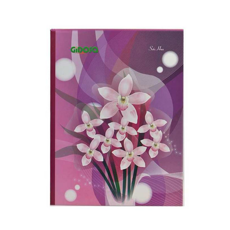 GIDOSA 100-page large format book
