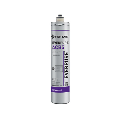 Lõi lọc nước Pentair Everpure 4CB5