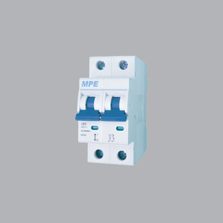 Cầu dao tự động số cực 2p, In 20A MPE MP6-C220