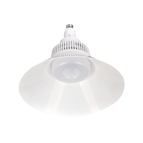 Dien Quang 60W High Bay LED Light DQ LEDHB05 60765 (Daylight)