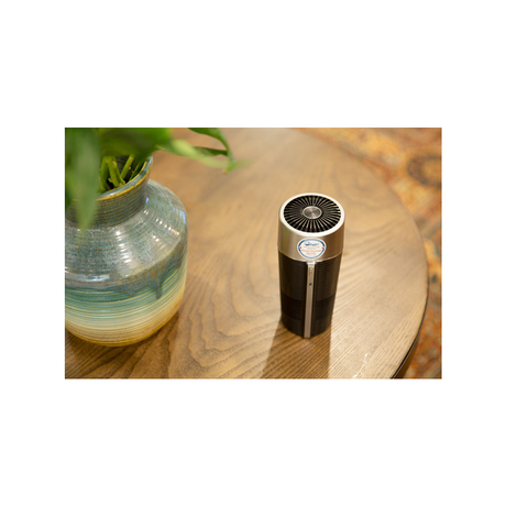 FujiE AP100 3.5W Car Air Purifier