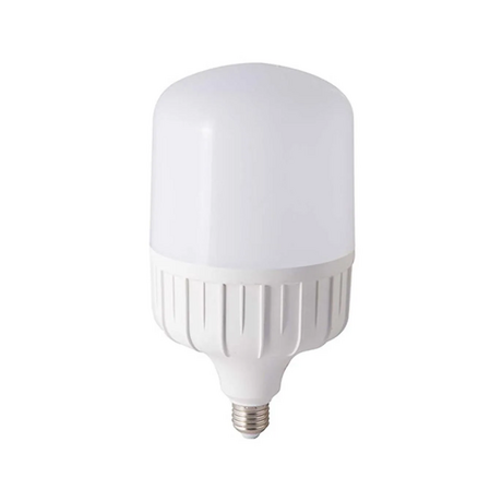 LED bulb RANG DONG TR140N1/50W E27 LED SS white light