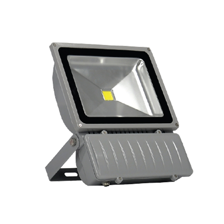 100W LED floodlight set Dien Quang DQ LEDFL02 100765 WP (Daylight)