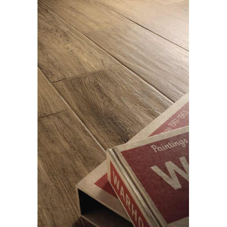 Wood Grain Tiles, Matte, DELCONCA, FI 9 20*80