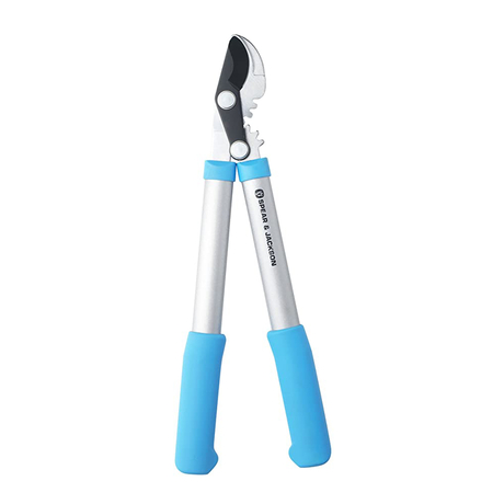 Spear And Jackson CUTTINGSET11B Pruning Shears