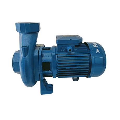 Pentax CST 100/2 1.5KW/2.0HP single phase high flow pump