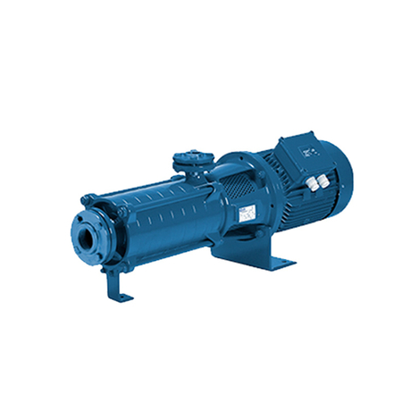 Pentax Series MSHC Multistage Horizontal Pump