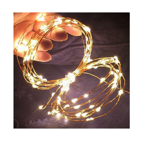 Firefly LED string light set 100 bulbs 10m long RY-11
