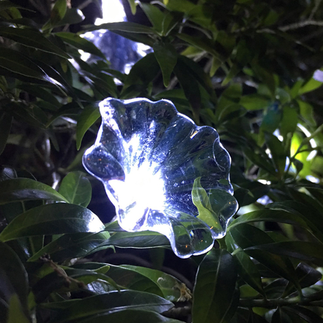 Dây đèn LED trang trí dài 5m, 20 bóng hình hoa trắng dùng pin