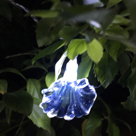 Dây đèn LED trang trí dài 5m, 20 bóng hình hoa trắng dùng pin