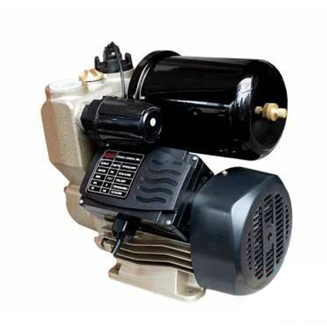 Oshima 300A multi-purpose water pump