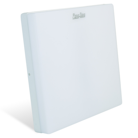 Rang Dong LN12N 12W LED ceiling light 170x170/12W 6500K plastic base