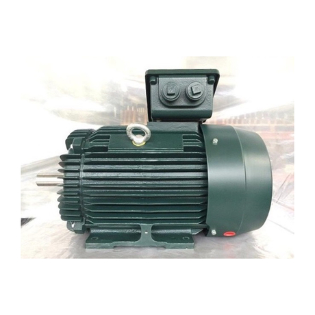 phase 2 pole electric motor 45kW Toshiba 0452FTMN7FS