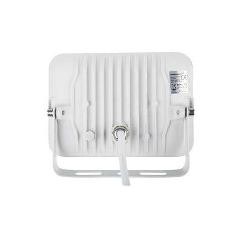 Đèn pha Led 20W RS PRO 1455880