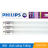 Bóng Tube LED Ecofit/HO 8W Philips 8W 740/765 T8 AP SL G