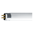 Bóng huỳnh quang Philips TL5 Essential 14W/840 1SL/40 ánh sáng trung tính