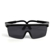 ProTape SM417 safety goggles, standard black