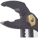 Fujiya crow beak pliers 130-250-BG